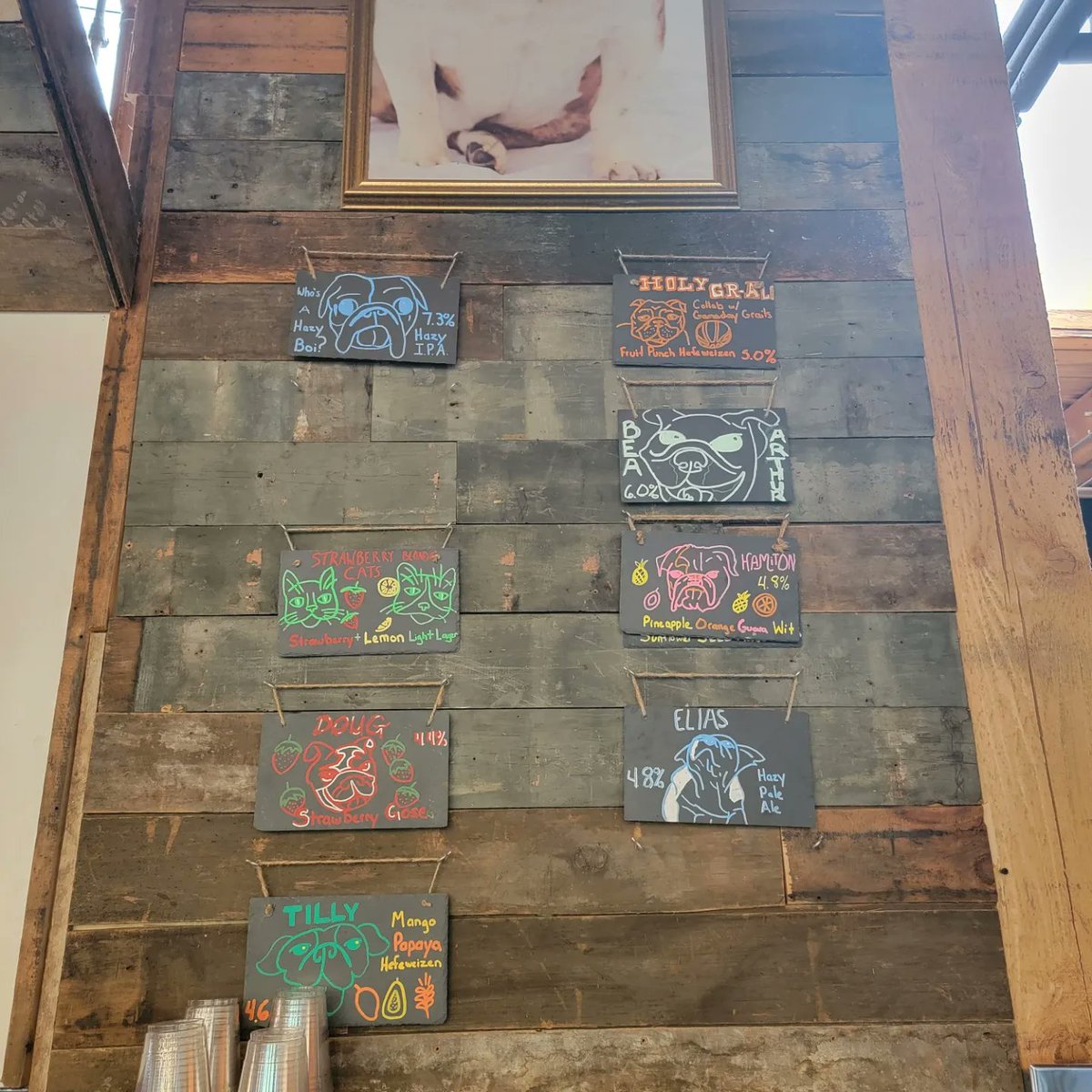 Yonderin with Bold Dog tweet media