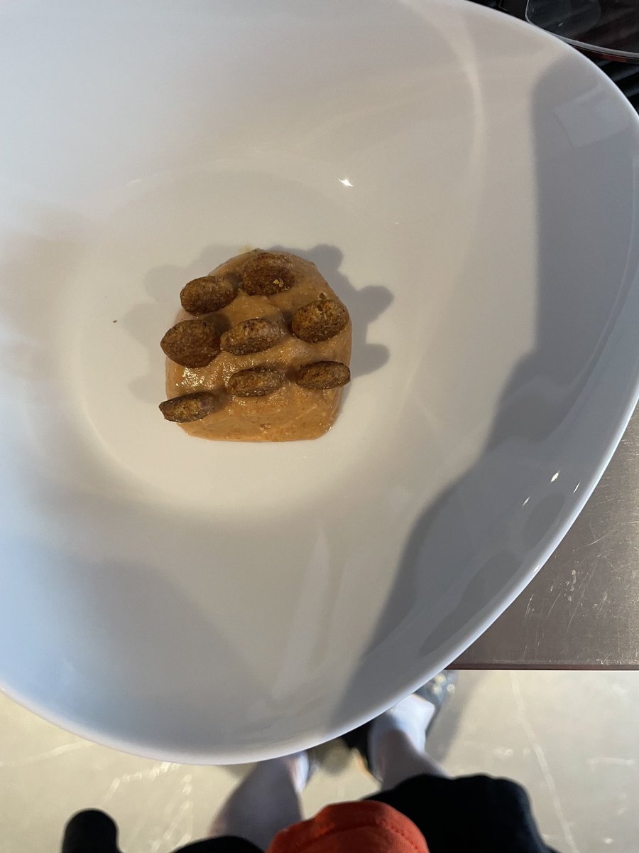 Nutellawoof's tweet photo. I hate kibble, but I kinda like peanut butter. Papa decided to combine the two. I feel cheated. https://t.co/9B2djjBST2
