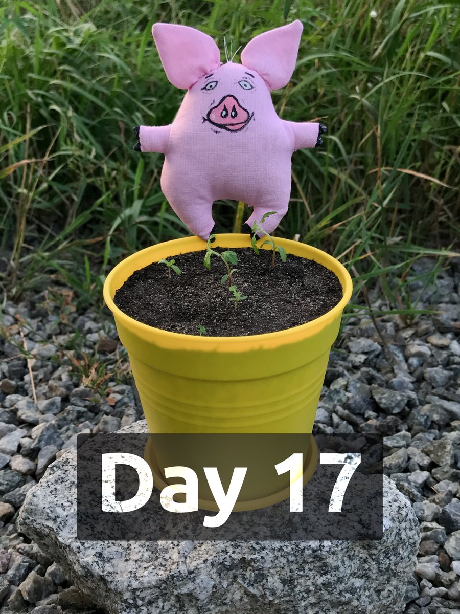 13birdsNFT's tweet photo. Collection - Paprika CHORNOBRYVTSI 🐽🐽

https://t.co/P7AbNblVwa

#NFT #NFTs #NFTartist #cryptoartist #forNFTcollector #13birds #eth #ethereum #flowers #chornobryvtsi #marigold #tagetes #чорнобривці #nftflower #flowernft #nftflowers #flowersNFT #nftgallery #art #artforsale https://t.co/4ZfPTOFbr3