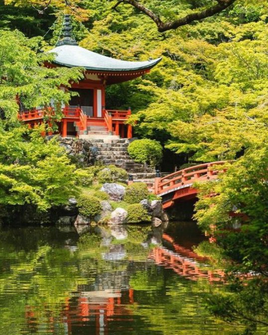 京都の醍醐寺 💚