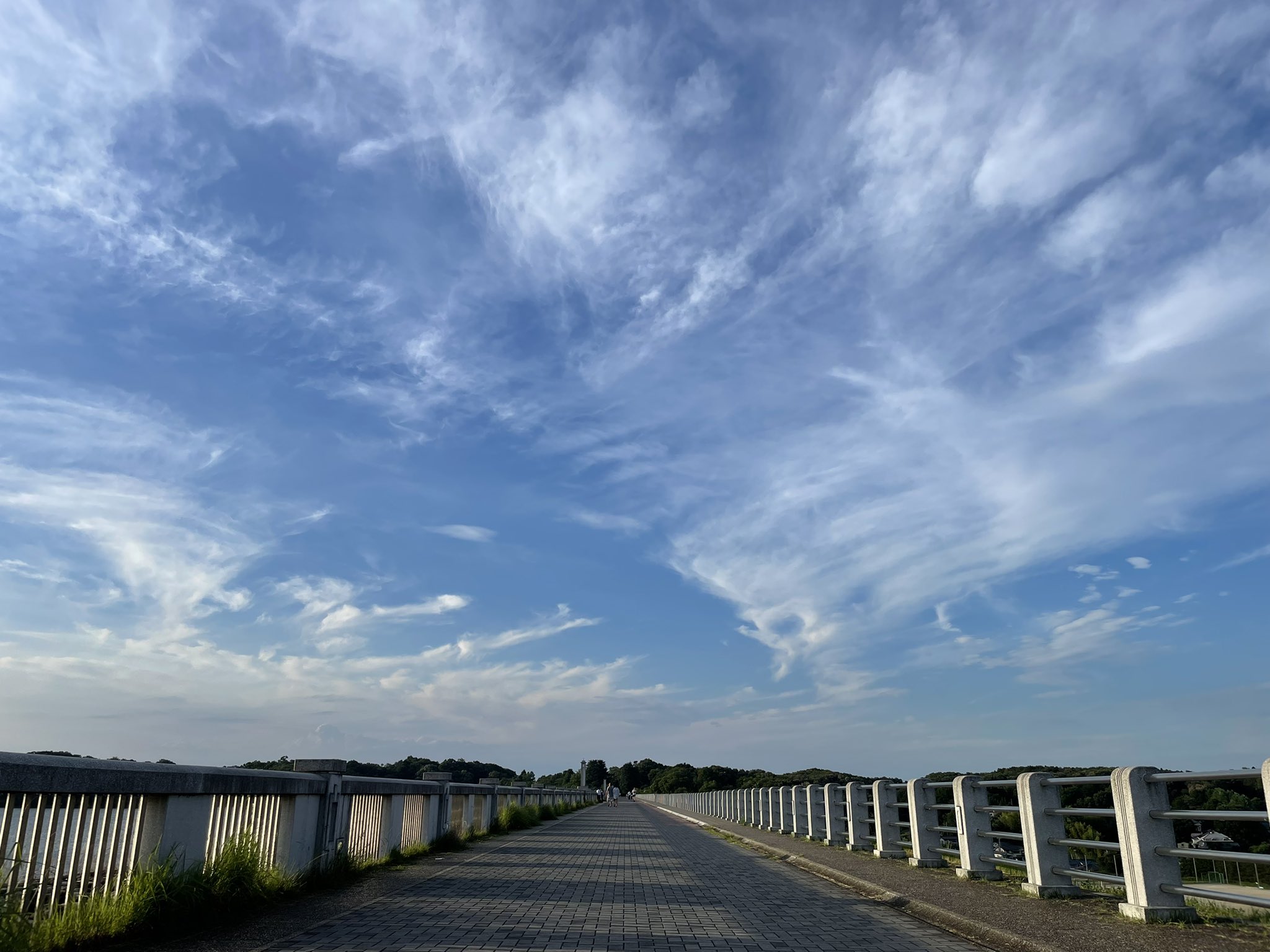 تويتر ふくし合格ネット على تويتر おはようございます いつもありがとうございます 最近は深夜ウォーキング ばかりでしたが 今日は早起きウォーキング 青空の下は気持ちいいんですが 暑い 暑い 帰ります それでは皆さん本日も素敵な一日を