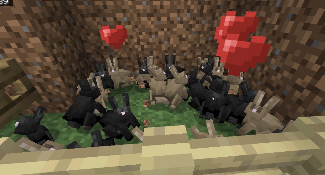 Miren mis conejos de Minecraft.