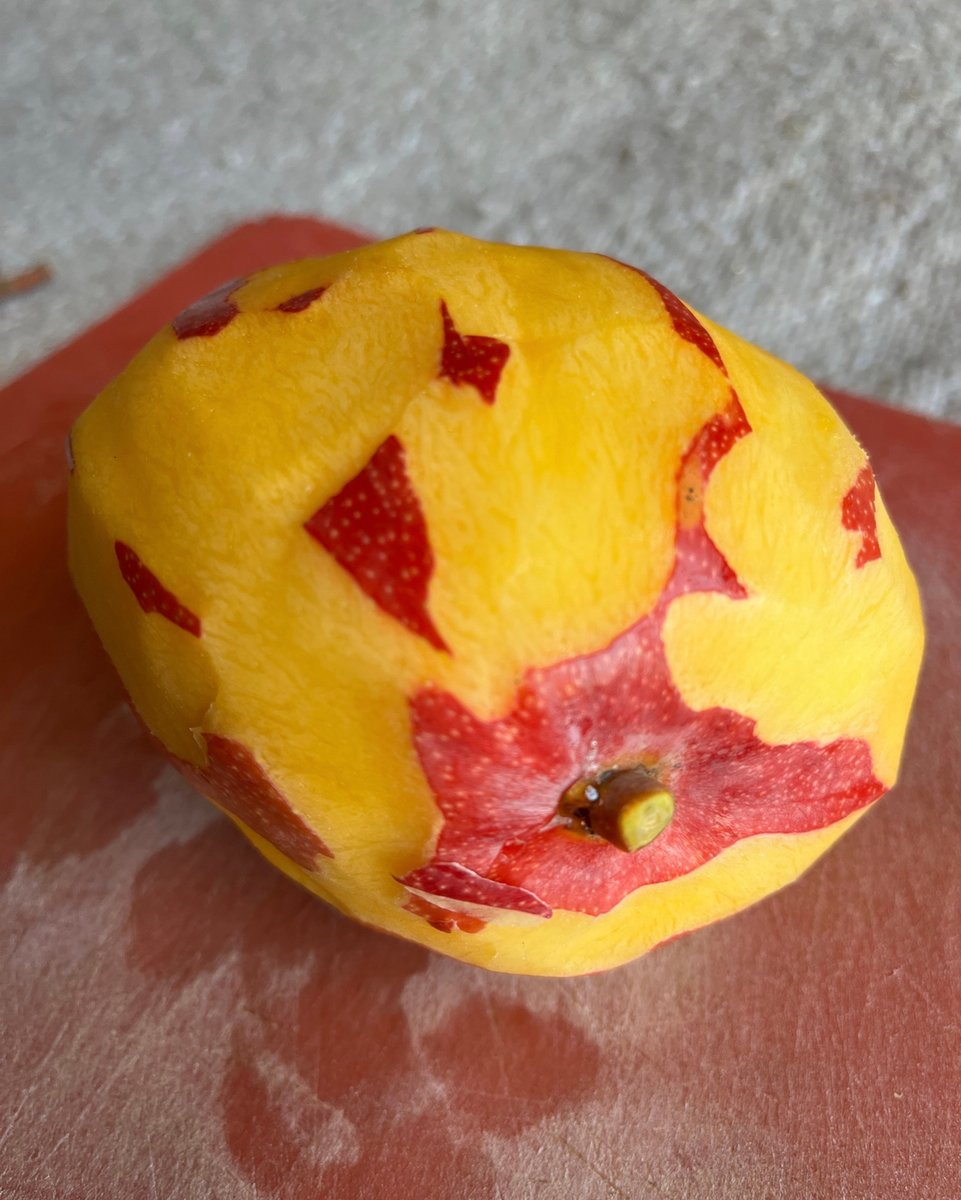 BioNutricion's tweet photo. Mi amor por el mango no para y es infinito. • Trágame tierra y escúpeme en Mangolandia. Bye.
#decídete #nutriciónreal #gentereal #comerico #comenormal #eat #nutrióloga #nutrición #BCS #méxico #strong #saludmental #bienestar #pesobase #pesofeliz #motivación #nutrition # https://t.co/q711hTyR49