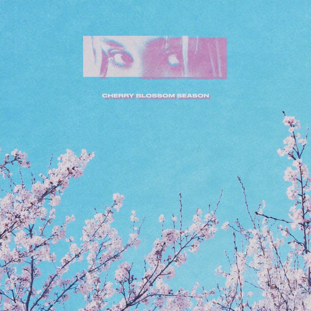 Cherry Blossom Season drops next Friday 🌸💙 pre-save link in bio
