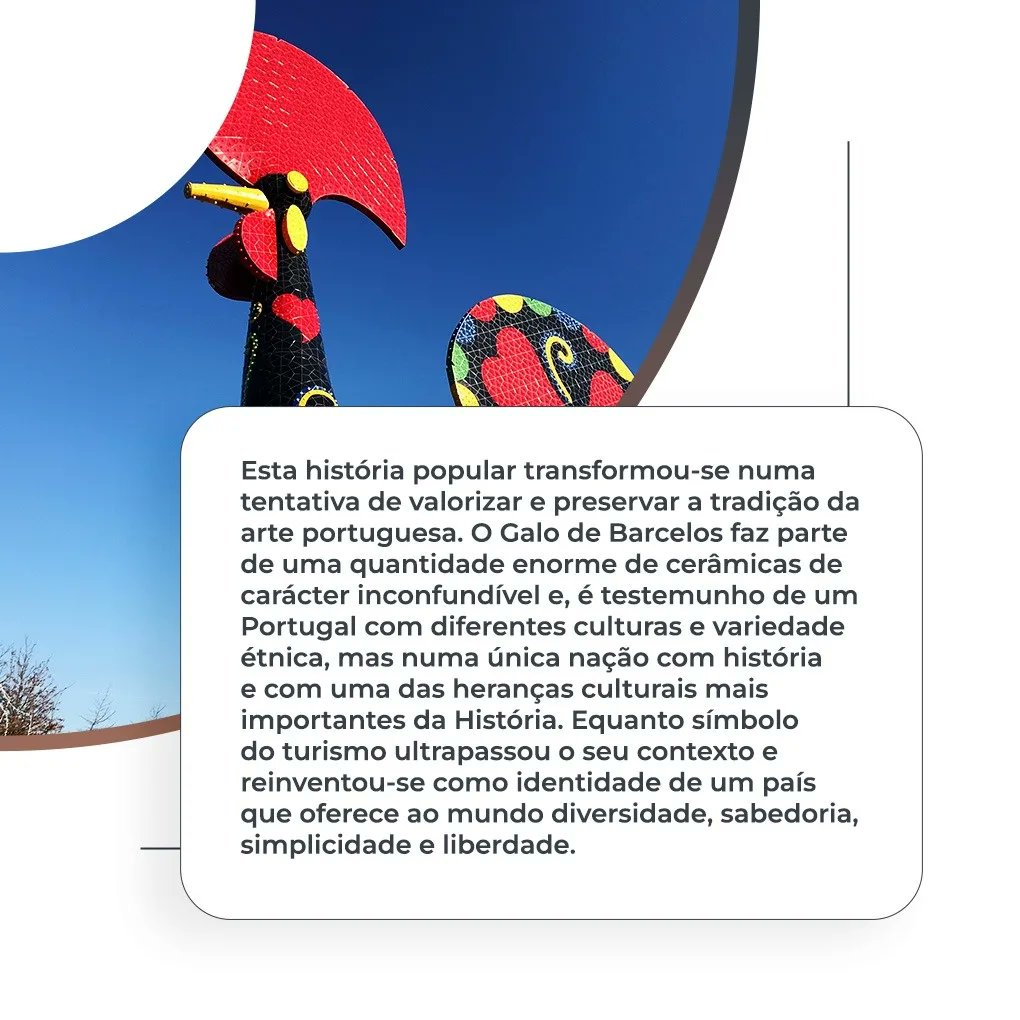Foresttail2021's tweet photo. A rúbrica de hoje trás-nos um pouco de tradição!

#foresttail #forest #tail #association #associacao #portugal #verde #animais #plantas #dafarm #dafarmlisboa #pinguim #tradição #comtradição #galo #galodebarcelos #barcelos https://t.co/GF4zbhXjfQ