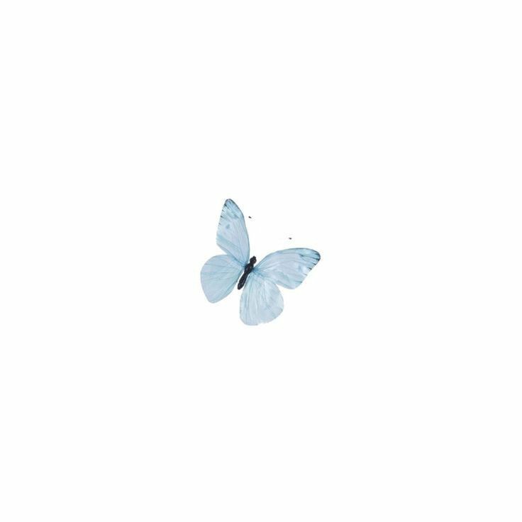dedicabotss's tweet photo. ⠀°• ¡beep beep! 📬❣️

Hey, @IHEEB9T ¡te han llegado unas galletitas acompañadas de un mensaje de parte de anónimo! 

› "mi otra mitad, mi mejor amigo, eres mi persona favorita, y quiero hacértelo saber cada que tenga oportunidad. te amo muchísimo, y sé que no soy la mejor (+) https://t.co/wjifZSf0im