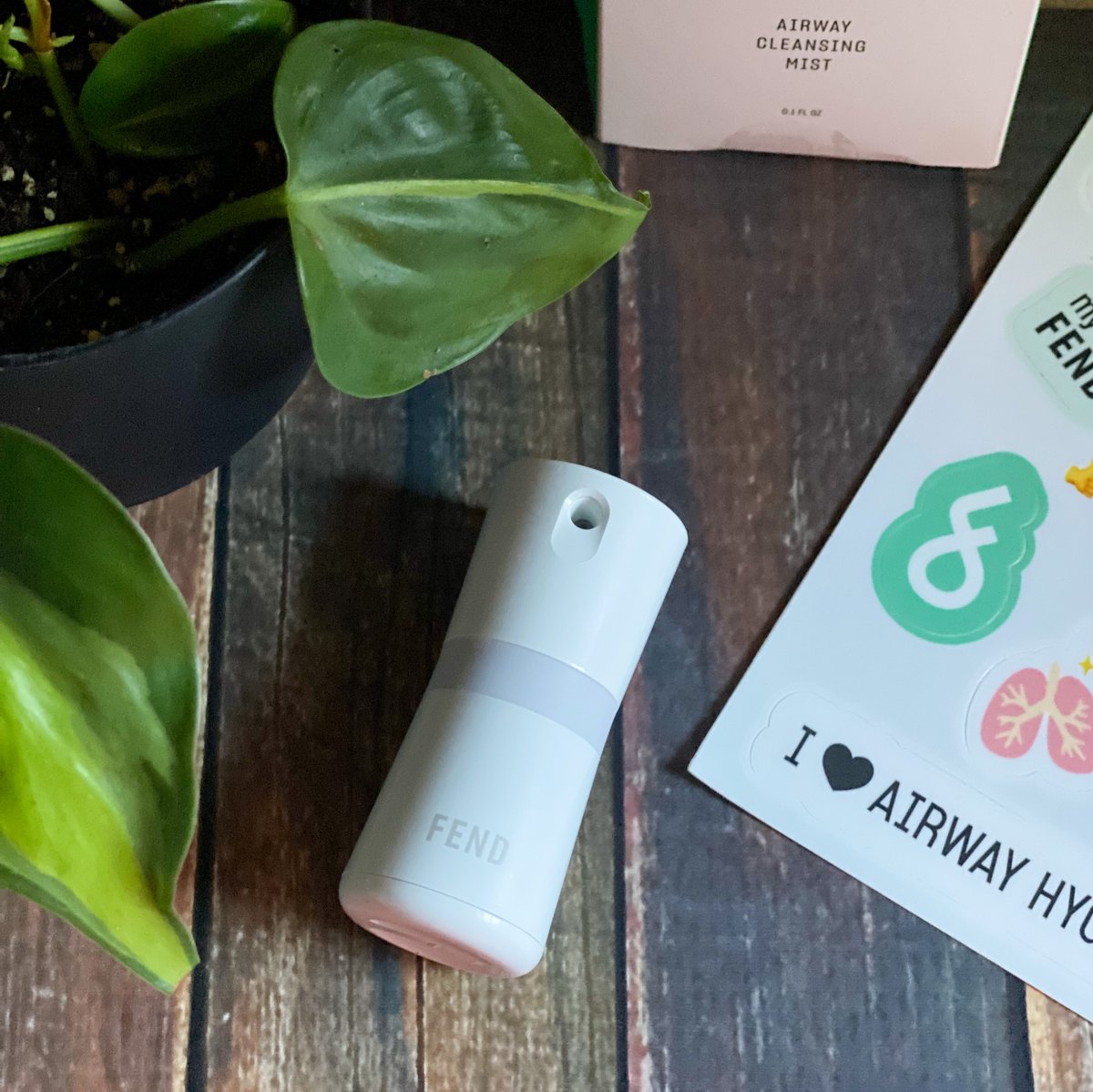 gingercasa1's tweet photo. ad
Meet FEND, the 100% natural way to filter the air you breathe! Check this post for a discount code:
https://t.co/JPVpUPWN6i
#momsmeet #fendpartner @momsmeet @hellofend https://t.co/HC0cBYWPsP