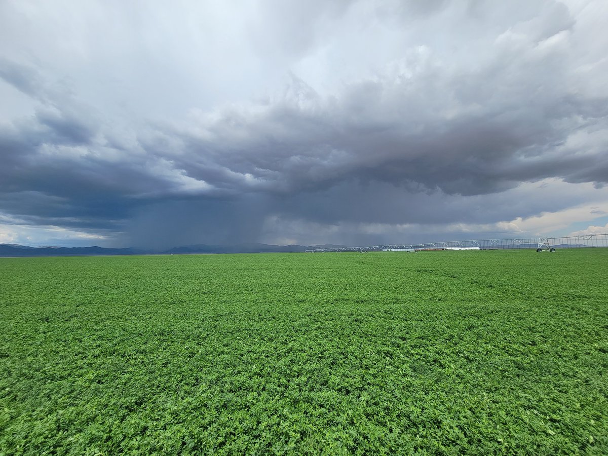 Tanner Holt 🇺🇸 (@tannerjholt) on Twitter photo 