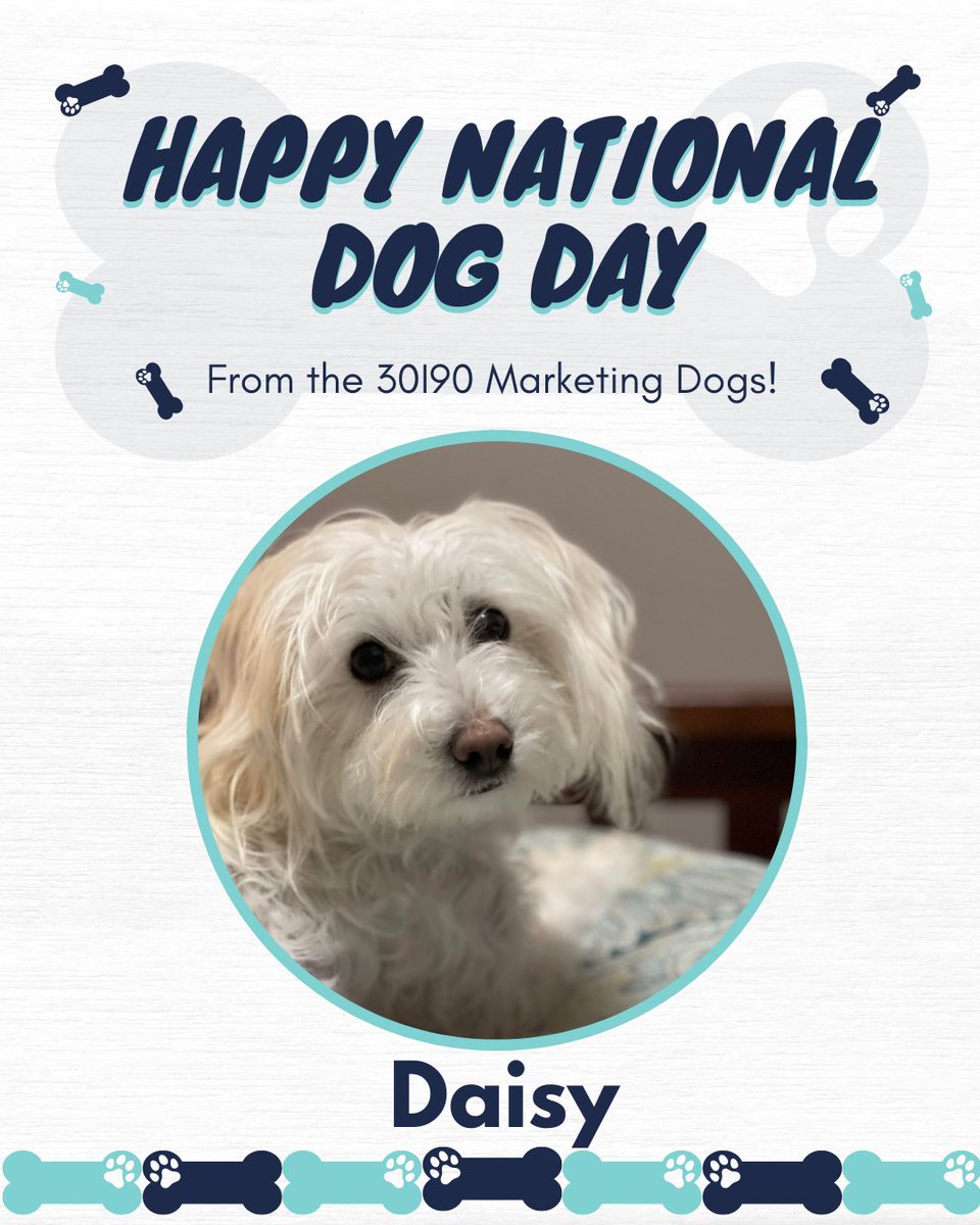 3090_Marketing's tweet photo. Happy National Dog Day! Our team loves their pups and will take any chance to show them offโค๏ธ
Comment the name of your dog so we can give them some love on their special day!
#nationaldogday #dogsofinstagram #teampups #socialmediamanager #marketingservices #marketingtwitter https://t.co/M2R1Uh884s