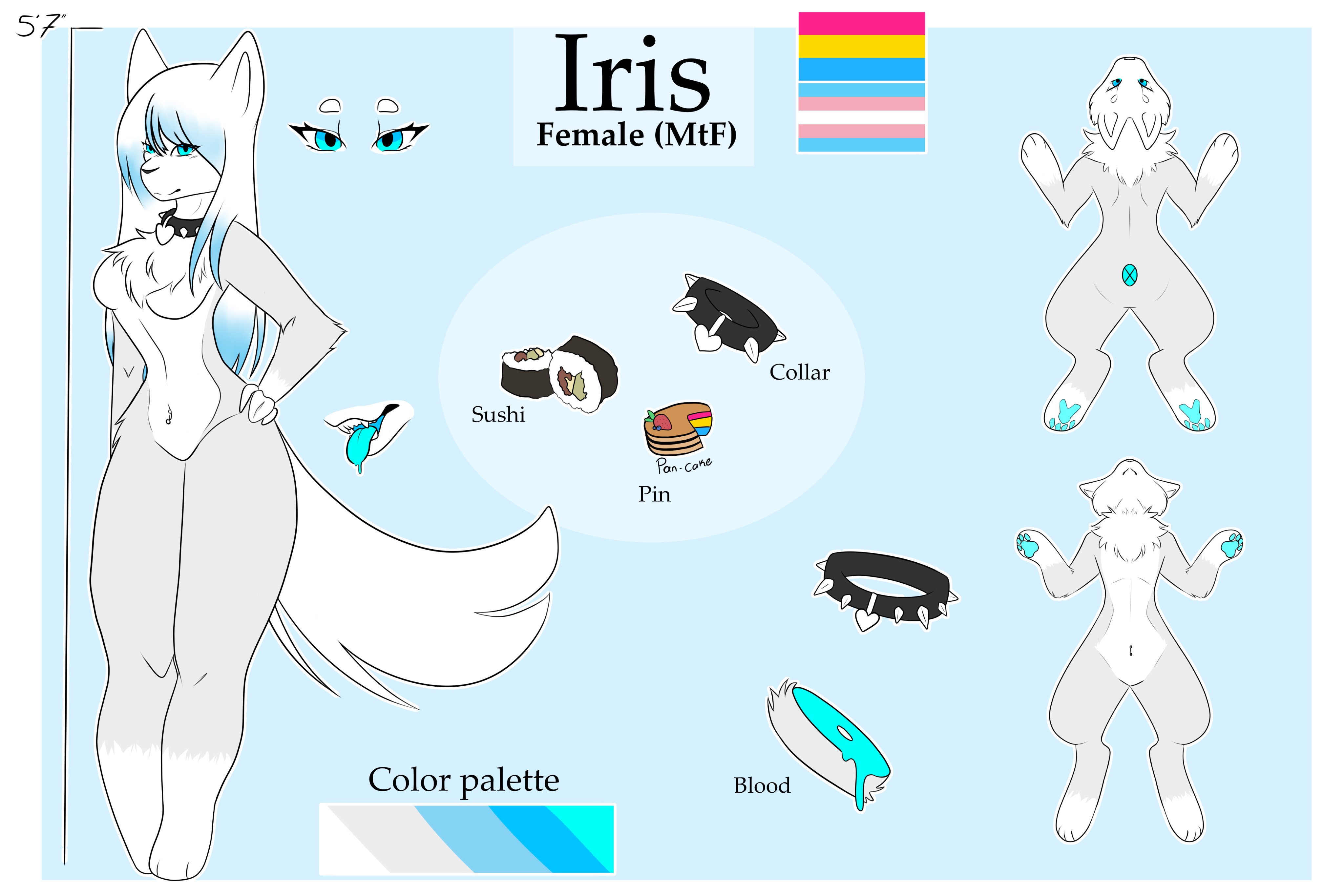 Iris | IrisTheCat (Outfit) (Commission) Minecraft Skin