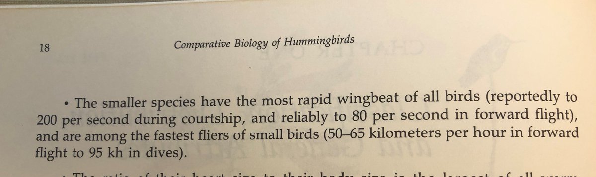I have a bunch of hummingbird books on my shelf at work that all make the same crazy claim: hummingbirds flap their wings 200 times per second. Here's text from Johnsgard 1983, for instance.