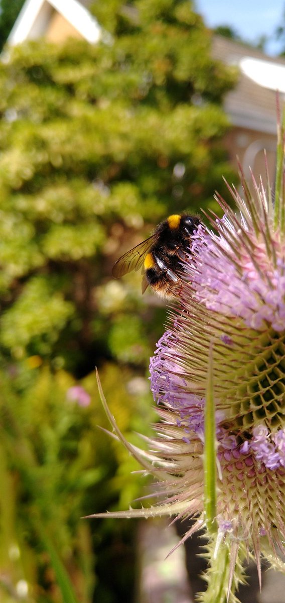 cora eley tweet media