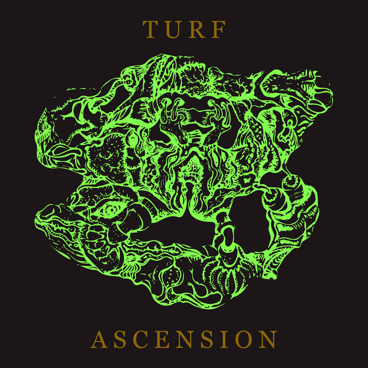euskir's tweet photo. #FollowFriday #FF
#Bubblemath @Bubblemath
#TurfAscension
#CuneiformRecords @cuneiformrecord 2022
Siempre, siempre #creatividad musical de primera.
#indie #jazz #rock #progrock #progpop #avantgarde #vanguardia #alternativo #música
#Bandcamp @Bandcamp https://t.co/wUIeknPigd