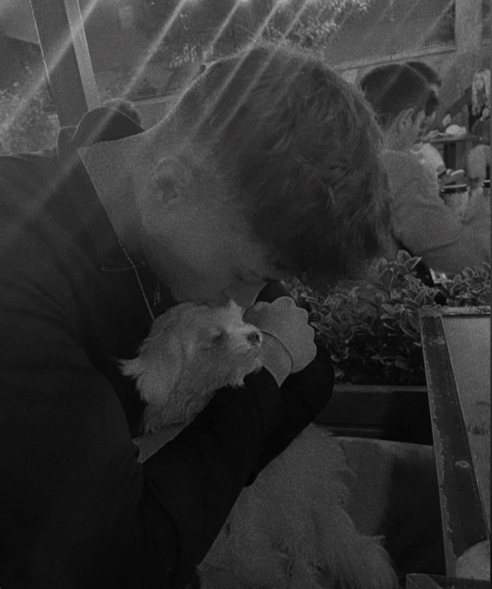 Ah reksa üzümlü kekim