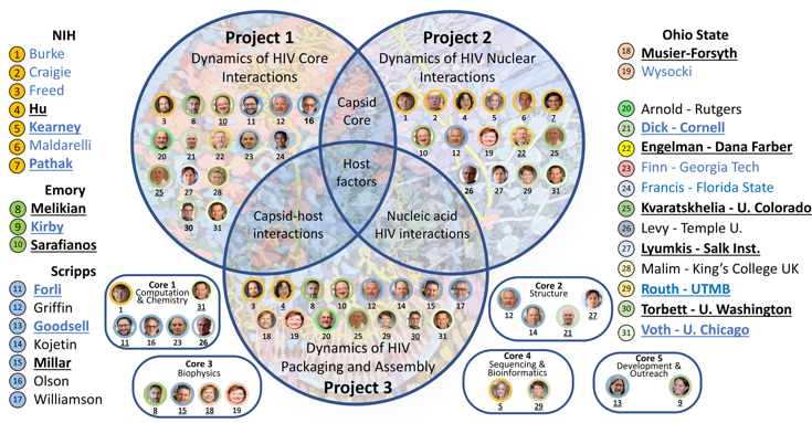 The B-HIVE Center is up and running, building on 10 years of work of the HIVE Center! 31 labs working together to reveal the structure and function of HIV-1 and its interactions with cellular host factors. For more information, see hivecenter.net