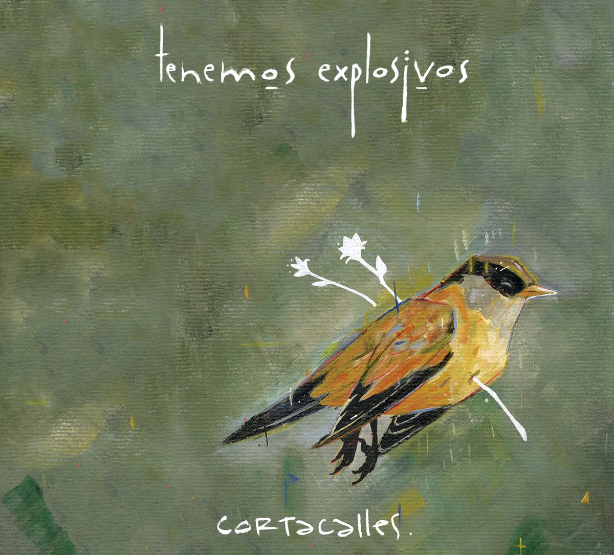 DiscosRockCL's tweet image. ¿Ya escucharon lo nuevo de Tenemos Explosivos? Búscalo en tu plataforma favorita y disfruta de sus 60 maravillosos minutos @TExplosivos  open.spotify.com/album/3xET3sNq…