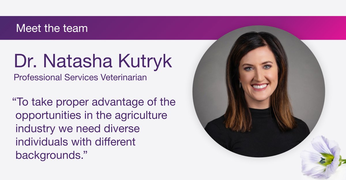 TELUS_AGCG's tweet photo. Dr. Natasha Kutryk is a Professional Services Veterinarian on our Animal Health team and helps customers make more data-driven decision making. Meet Natasha &amp; see why she encourages those with non-agriculture backgrounds to join the industry: https://t.co/gAmDqlzMPn #MeetTheTeam https://t.co/pMh3XUHCTp