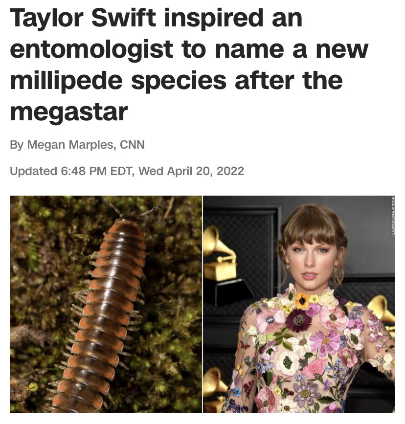 Myra Putation on Twitter: