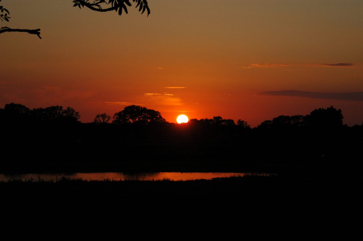 BeavanGinkel1's tweet photo. #sunset  #amateur #fotografie #nikon #Vechtdal #Hardenberg https://t.co/4LOygCJu5C