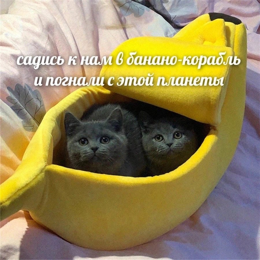 retro_merka's tweet photo. к вопросам по предыдущему твиту, что был в прошлом году

я пытаюсь избавиться от негатива и духоты в своём окружении, что начала копиться ещё задолго

думаю, что из этого выйдет что-то толковое, поэтому советую вам тоже не истязать себя приевшимся, всех люблю https://t.co/aeytaBDjE5
