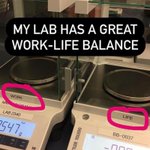 Photo by JournalofLifeSciences (@PostDocJOURNAL)