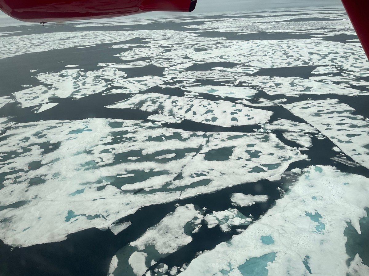 Arctic SummerTime Cyclones (@arcticcyclones) on Twitter photo The weather cleared up today and we were able to get out on our first science flight! Here we are at 300ft over the Arctic Ocean north of Svalbard (82°N), over the marginal ice zone – look at those spectacular melt ponds <a href="/BAS_News/">British Antarctic Survey 🐧</a> <a href="/UniRdg_Met/">Reading Meteorology</a> <a href="/ueaenv/">UEA School of Environmental Sciences</a> The weather cleared up today and we were able to get out on our first science flight! Here we are at 300ft over the Arctic Ocean north of Svalbard (82°N), over the marginal ice zone – look at those spectacular melt ponds <a href="/BAS_News/">British Antarctic Survey 🐧</a> <a href="/UniRdg_Met/">Reading Meteorology</a> <a href="/ueaenv/">UEA School of Environmental Sciences</a>