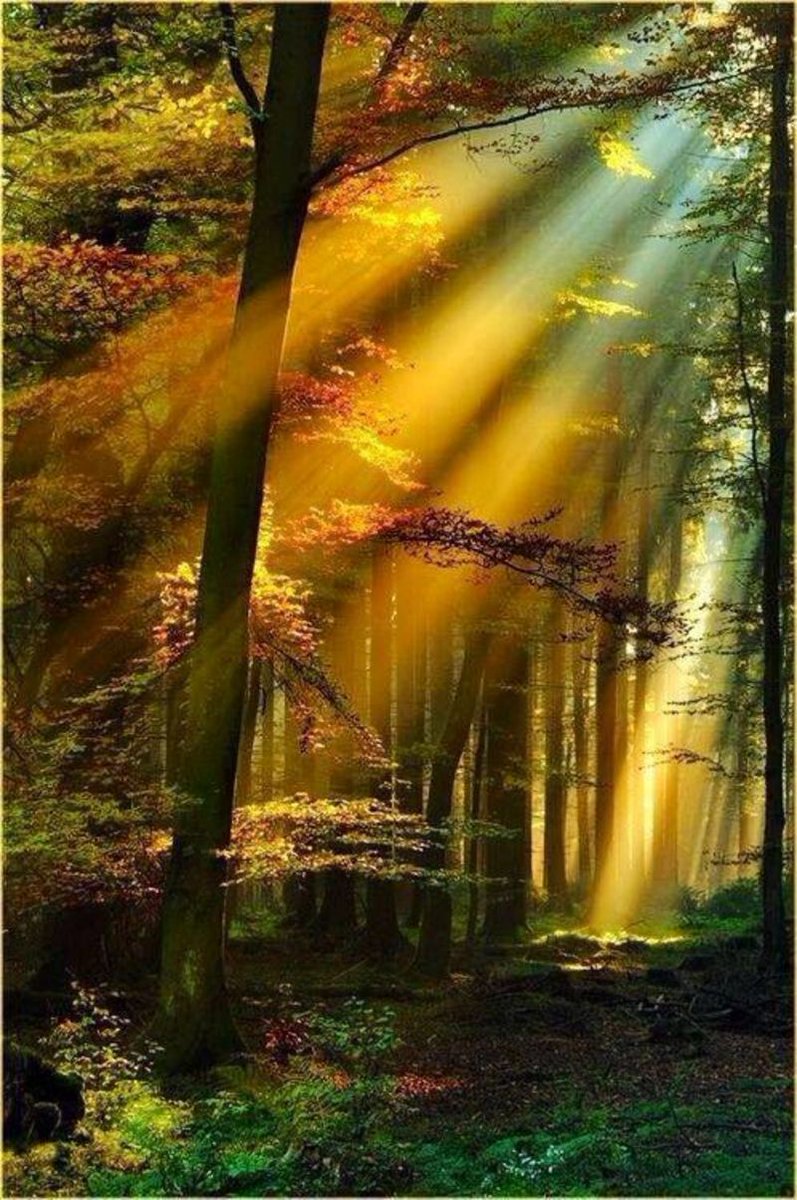 RIMA86I's tweet photo. @RIMA86I https://t.co/aPa1G2tZwM