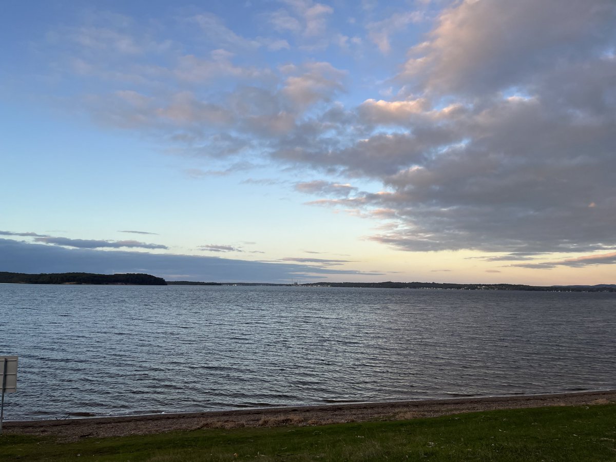 lynshields's tweet photo. Not #manlybeach #wangiwangi https://t.co/d9TyeKFS1x