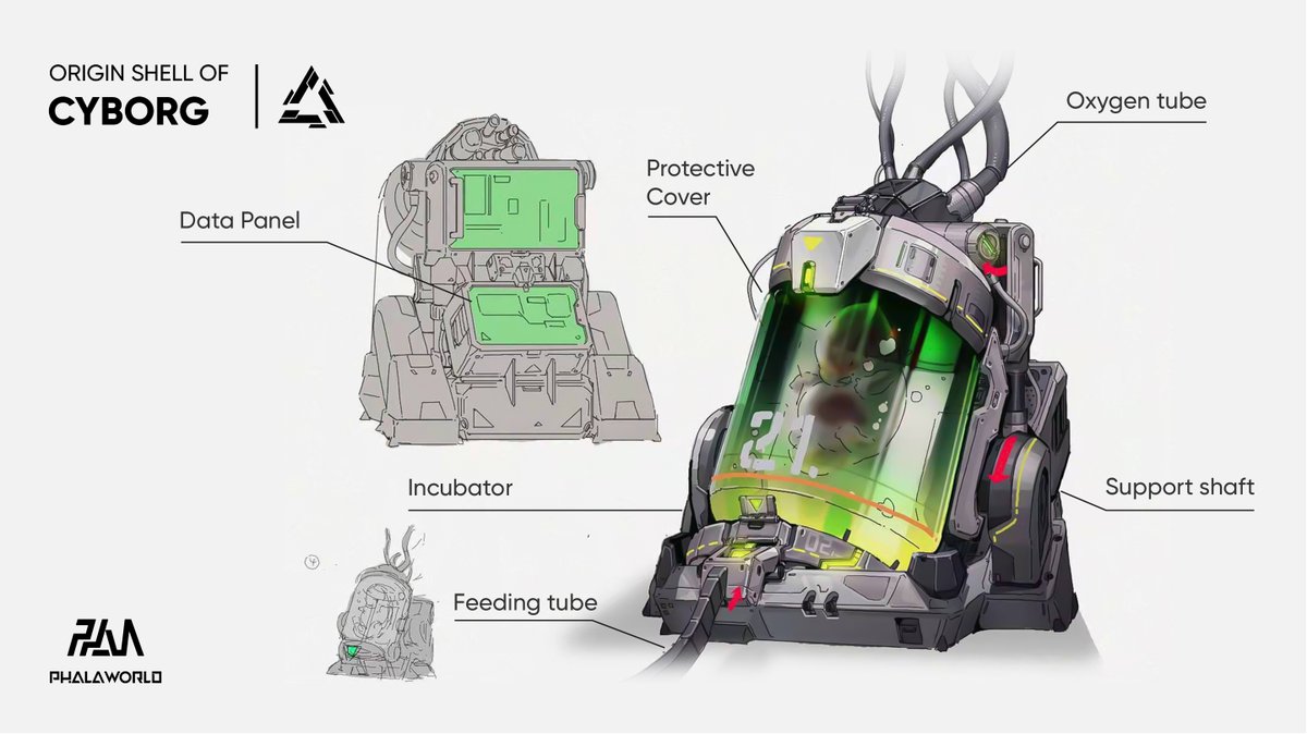 PhalaWorld tweet media