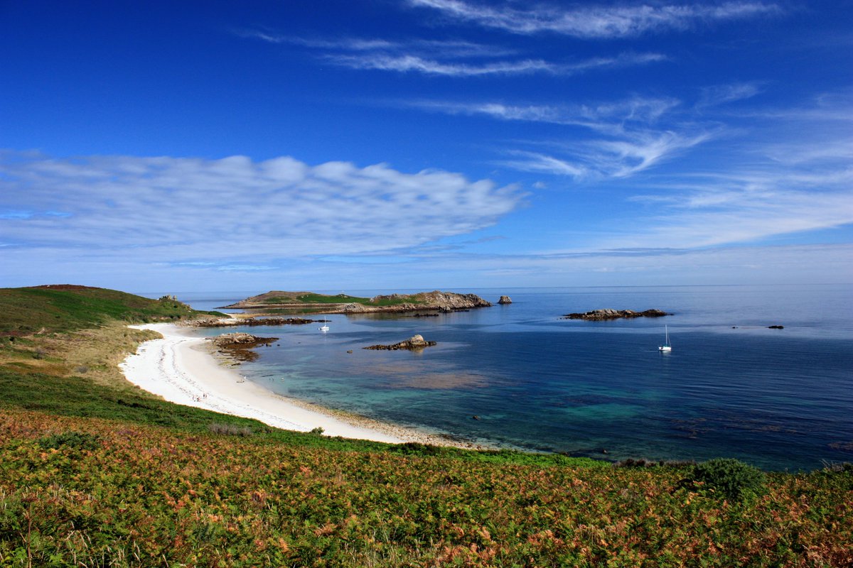 Peter Akrill tweet media