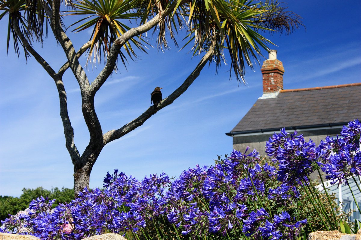 Peter Akrill tweet media