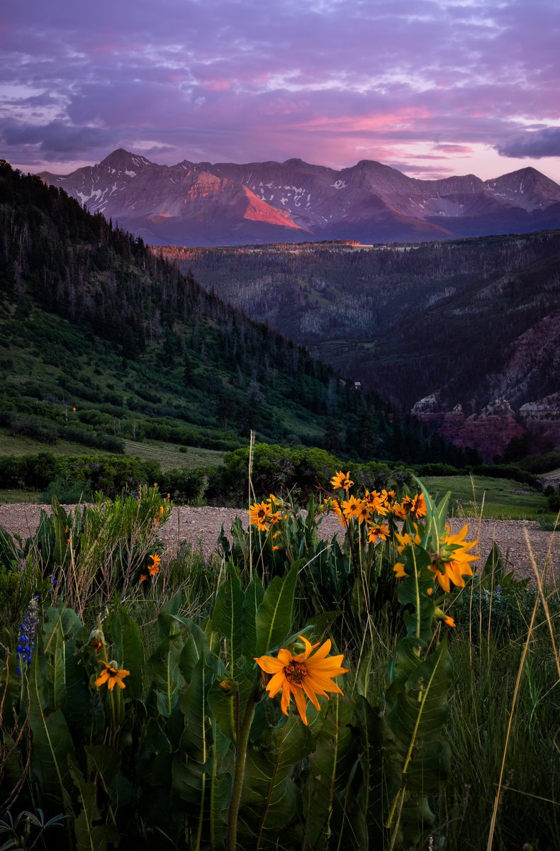 GM from CO 🌻

… I woke up 10 hours ago