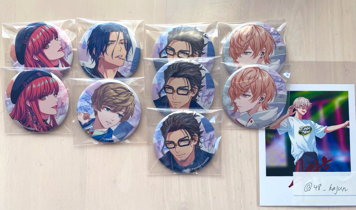 燕東夏 缶バッジver.18 パラライ FATE