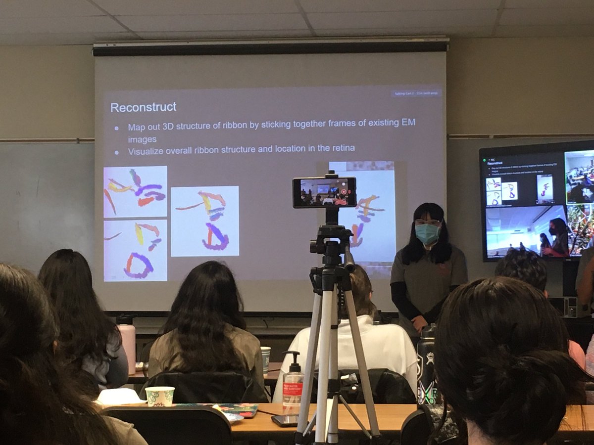 CCC summer course final presentations - student group investigating organelle structure in skate retina / hiw cell architecture affects signal processing @c3STC