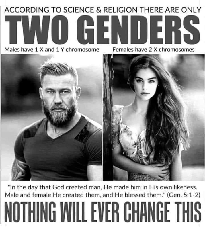 Enough is Enough 🇬🇧 🇷🇺 🏴󠁧󠁢󠁥󠁮󠁧󠁿✝️ tweet media