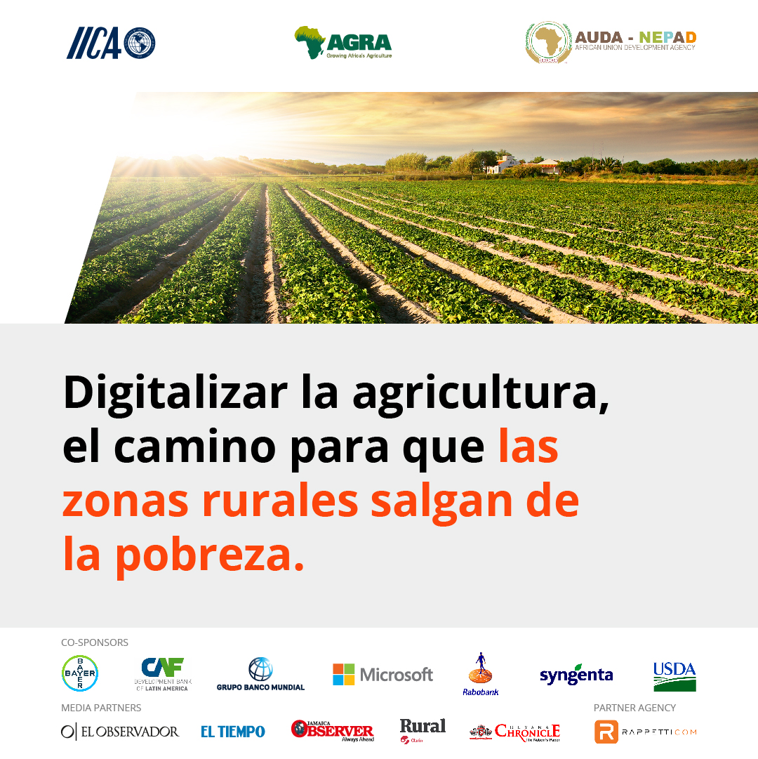 IICAnoticias's tweet photo. Durante la primera #CumbreMinisterialÁfricaAméricas se debatió sobre Oportunidades en Agricultura Digital y Michael Kremer, Premio Nobel de Economía 2019, fue uno de los expositores destacados.
#CostaRica #AGRAA #IICA #América #África #Agricultura https://t.co/X7Y7M0O3sb