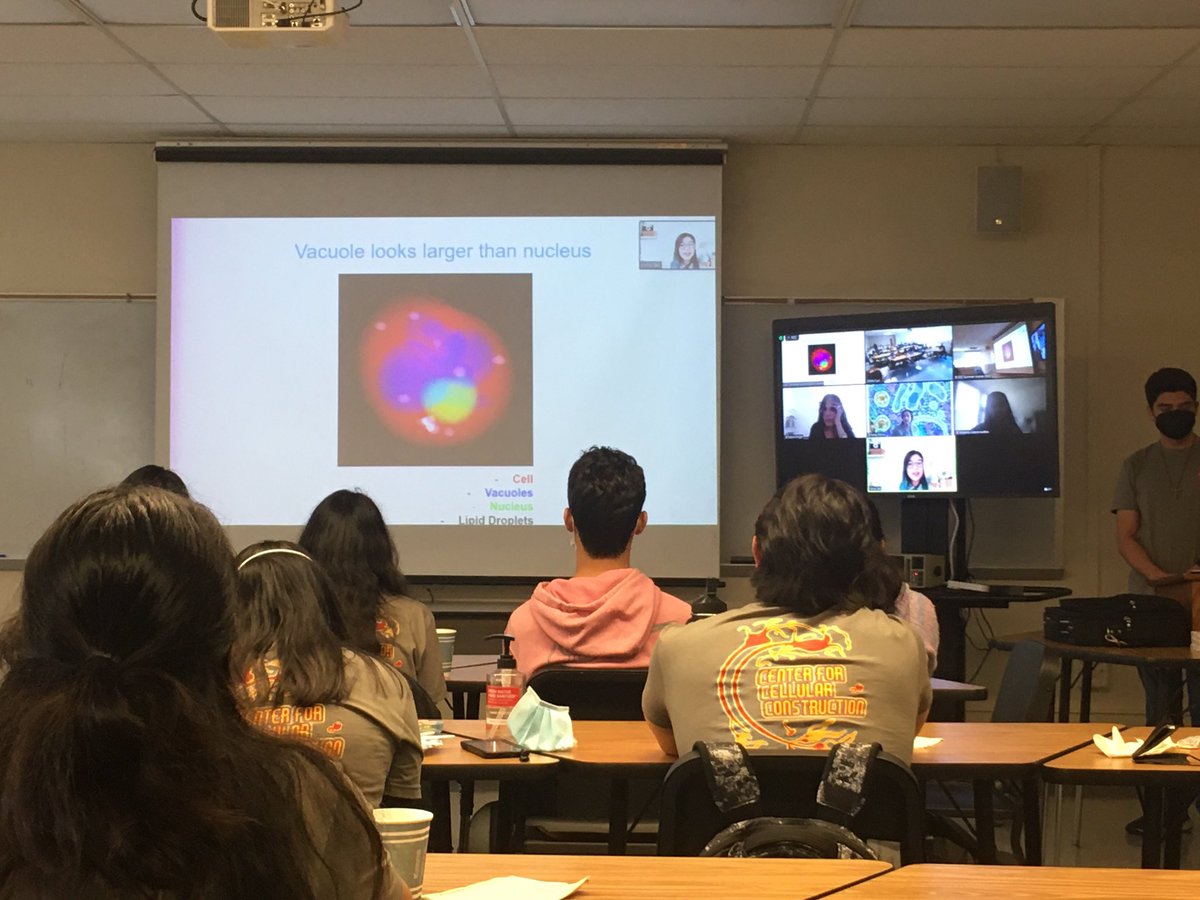 CCC summer course student presentation on organelle scaling and geometry using soft xray tomography and Python based image analysis. Project led by @MaryMirvis @c3STC