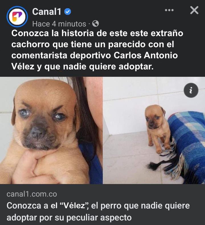 ManualEsceptico's tweet photo. No puede ser :( https://t.co/Xc7uqYkoxM
