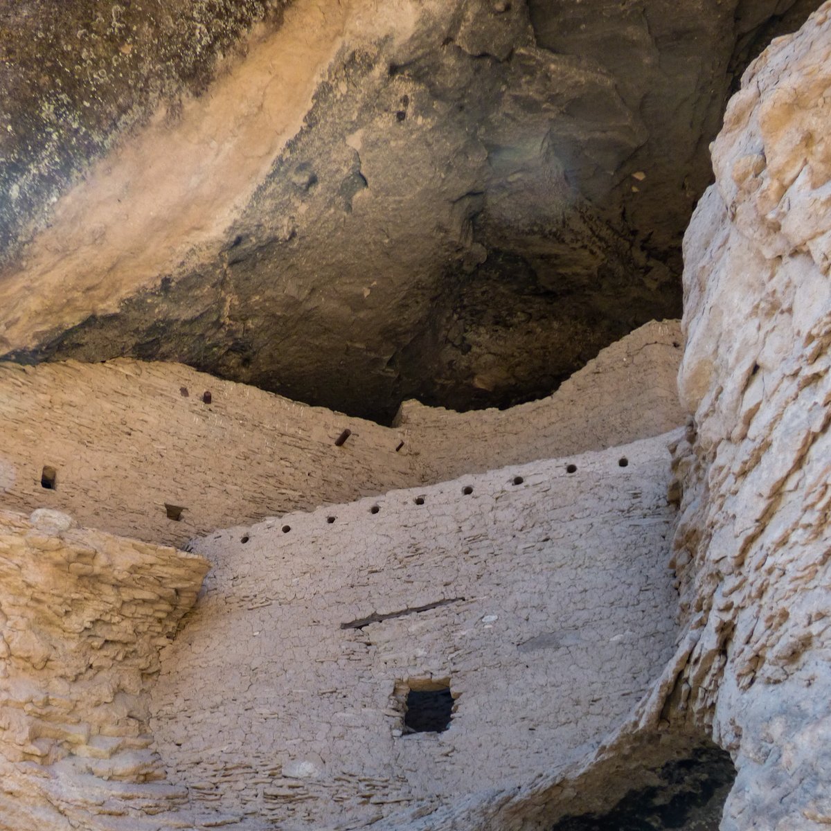 NewMexicoNomad tweet media