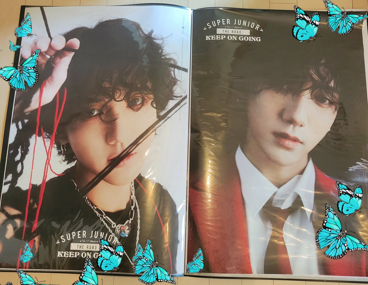 chaco75130665's tweet photo. ๆฉ้FOLDERใซๅใใใๅฌใ๐๐
#TheRoad_KeepOnGoing #SUPERJUNIOR
#YESUNG #์์ฑ https://t.co/oifmu7HTOU