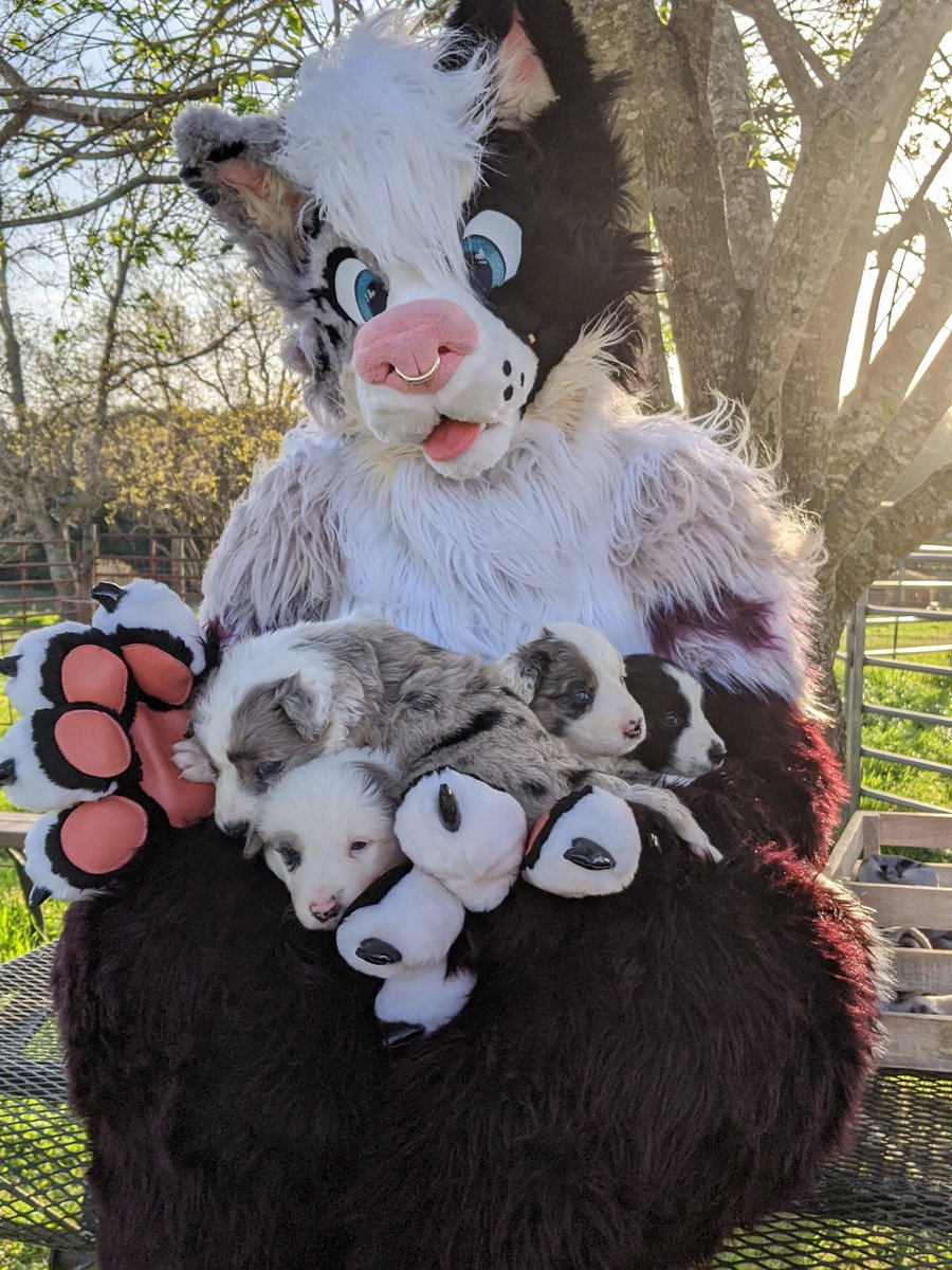 Furiosa Mantra🥞👑 tweet media