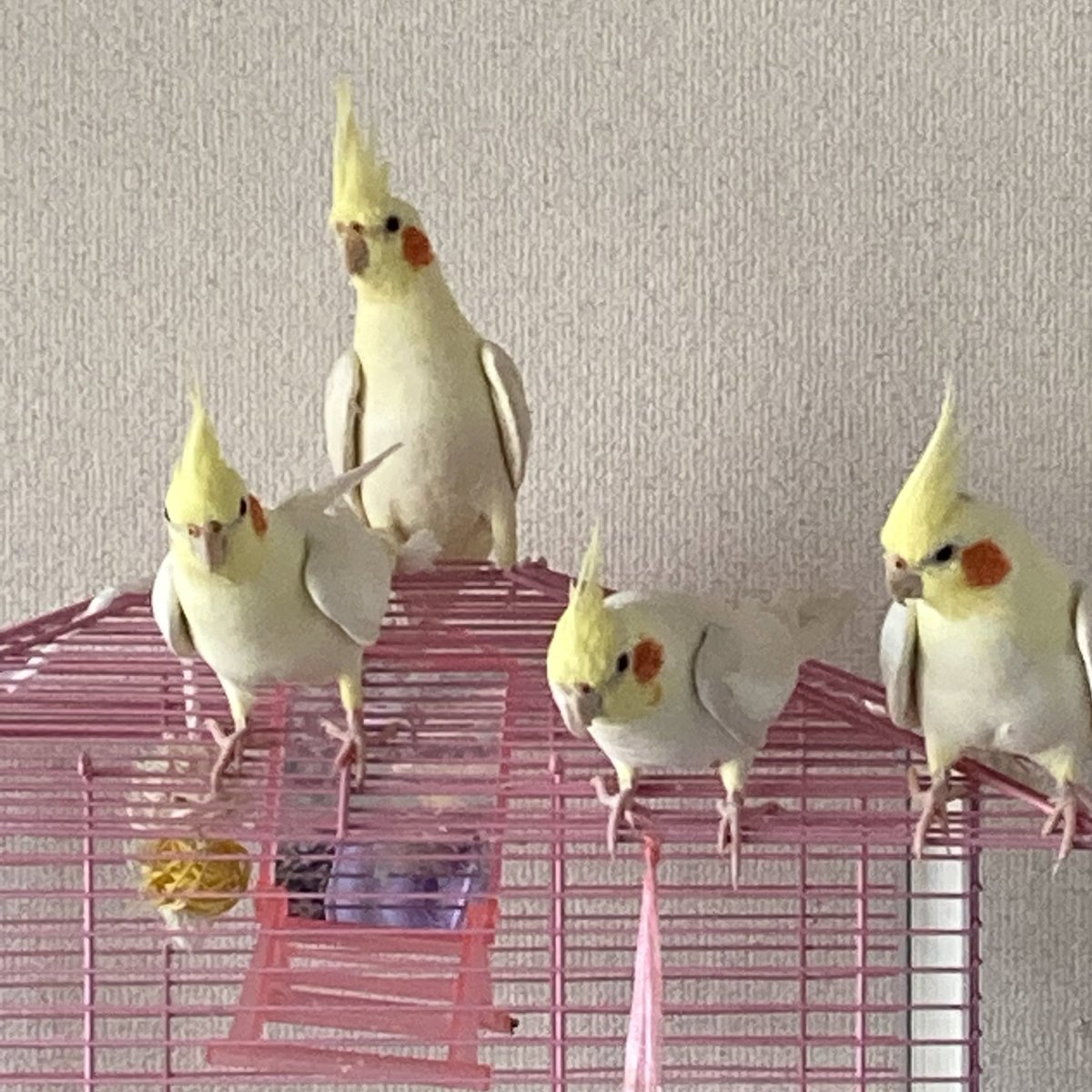 リーダーはすぐわかりますね~✌️👩