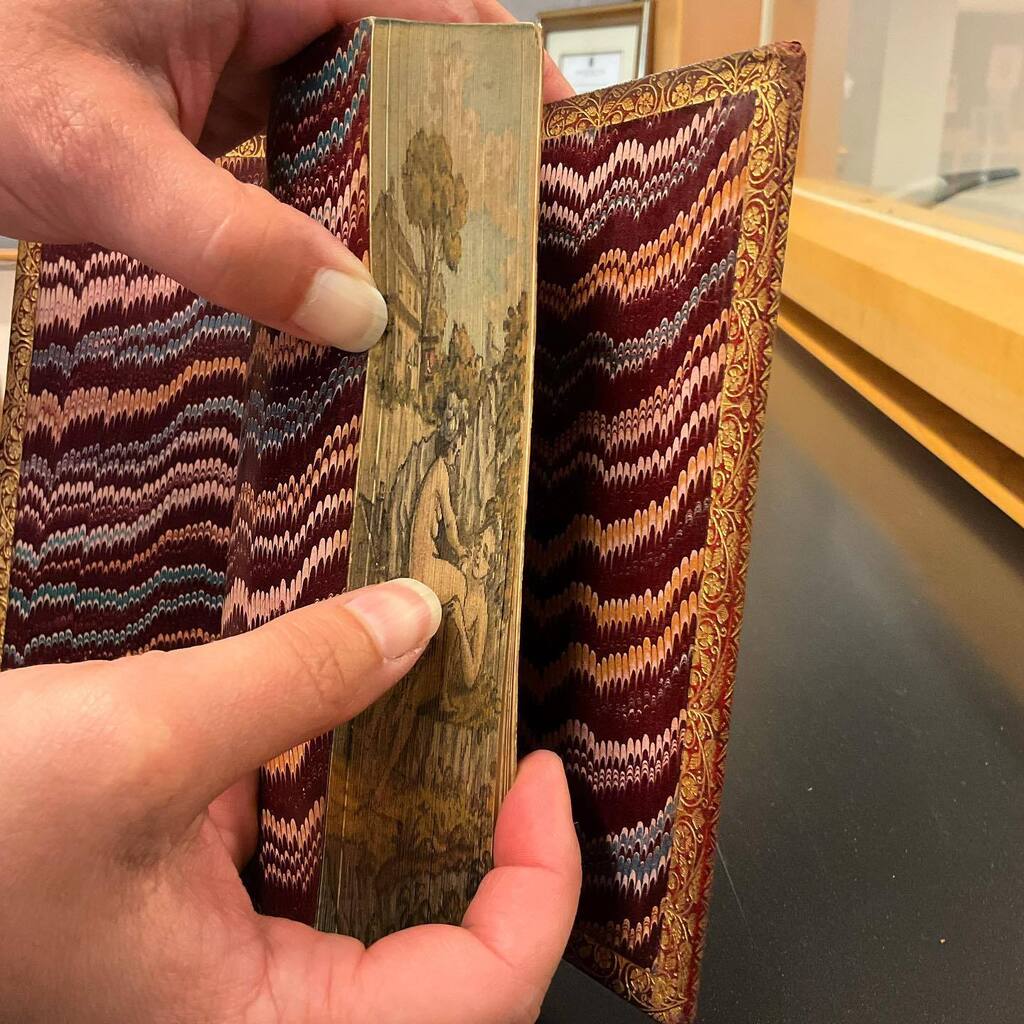 jordan_library's tweet photo. The final #foreedgefriday post from some recent acquisitions is this interesting image. It can be found on the #foreedge of Poems, published in 1872 and written by Jean Ingelow. #ForeedgePaintings #foreedgepainting #specialcollectionslibraries #specialco… https://t.co/9jdEdNiot5 https://t.co/ARC6Hz6kmX