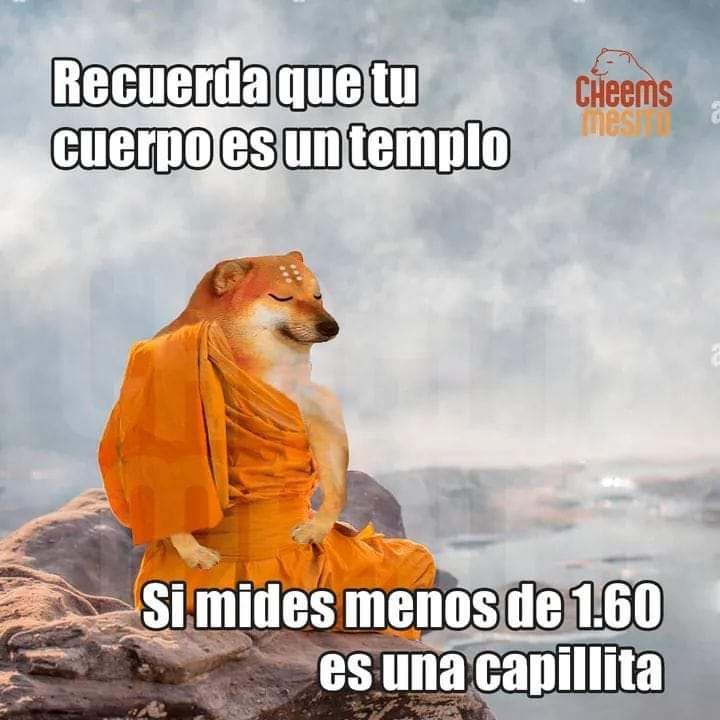 El grifo pirata carmesí (🌒🎲📜) (@erigoldelviento) on Twitter photo 