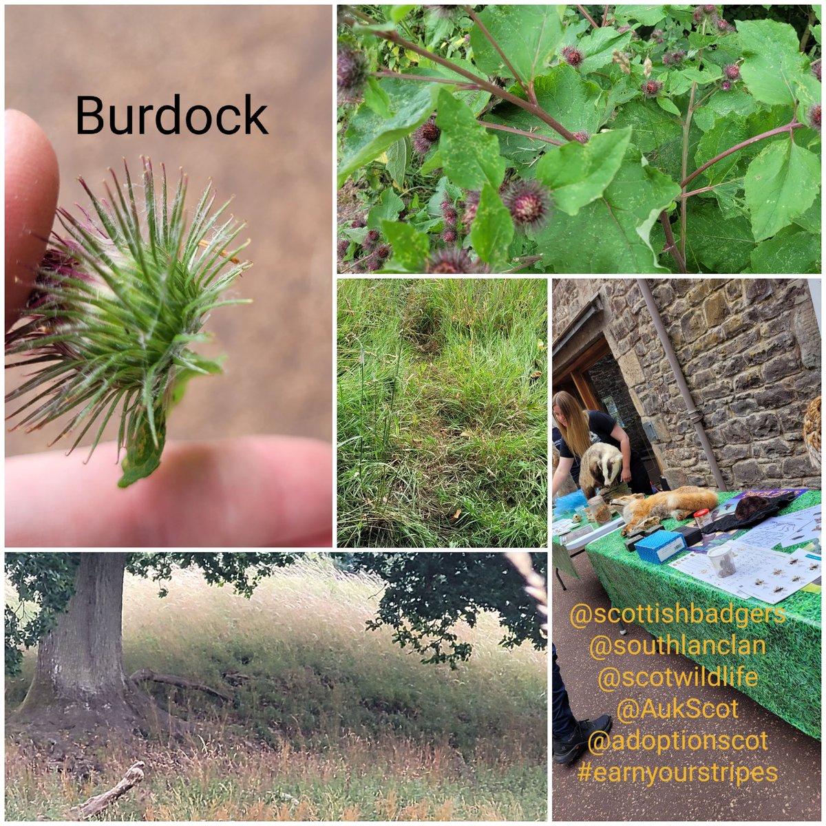 StoneT45066802's tweet photo. Our young people love outdoors
@AUKScot @fasdhub #clth #earnyourstripes
#equitots #equitotslan @equitotscic
@ThePromiseScot  @GilbertDavidJr @ScotWildlife @scottishbadgers @Scotland_Fi  @OutletPlayRe @ccilangloch @YoungScot #futureroutes #dukeofedinburgh #DOE @NLCYouthwork https://t.co/XGyoH8d6NU