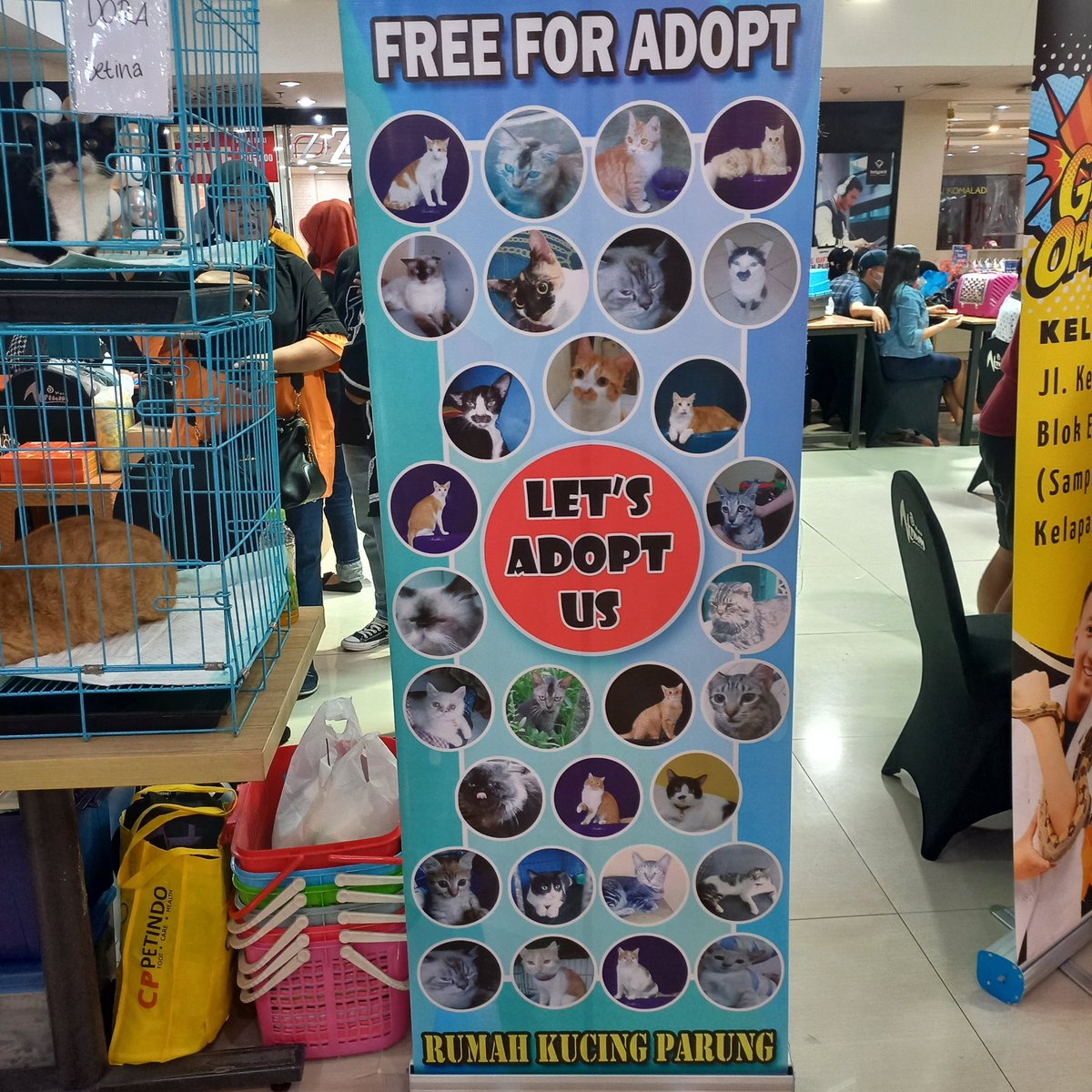 GUYSS DI ATRIUM SENEN ADA PAMERAN HEWAN PELIHARAAN TRS INI ADA FREE ADOPT ON THE SPOTTT!! CUMA SAMPE BESOKK