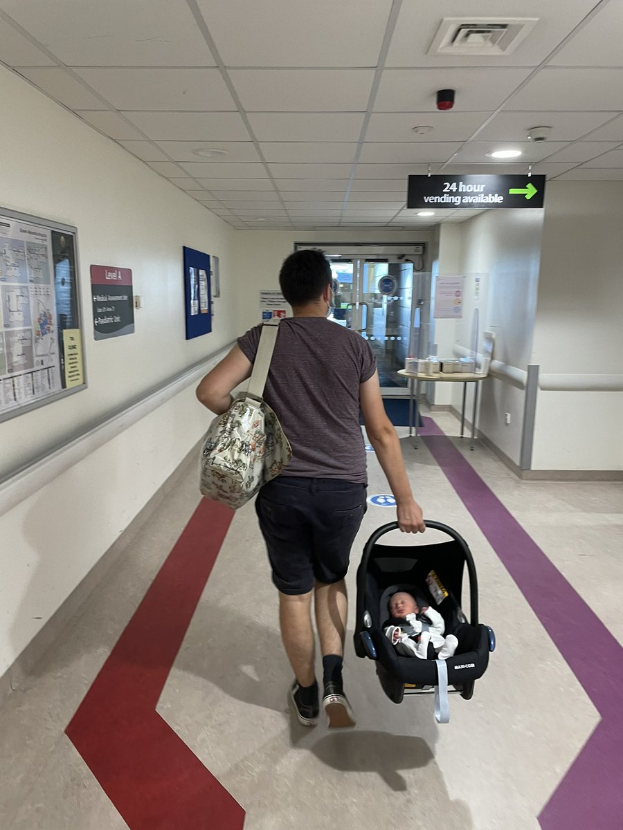 Alexandra. tweet media