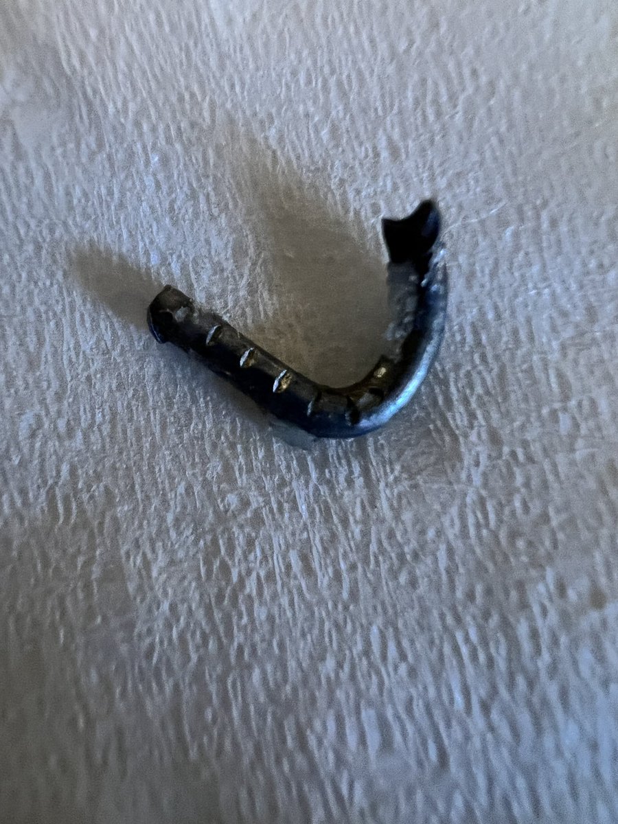 stevemarks's tweet image. Check out what was in our @dominos pizza tonight. Pretty sure that’s not a featured topping.