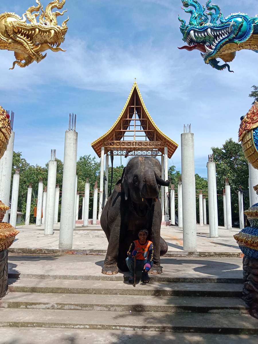พรทิพย์ แสงนิล (พังโมแฮร์) tweet media