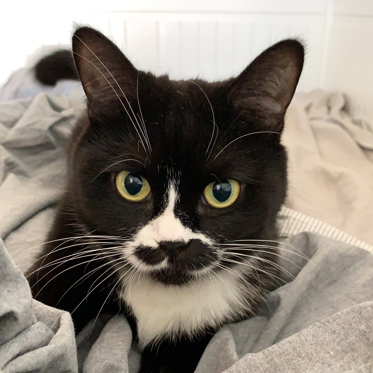 Julia Zilbert tweet media